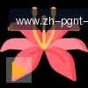 PG模拟器 logo